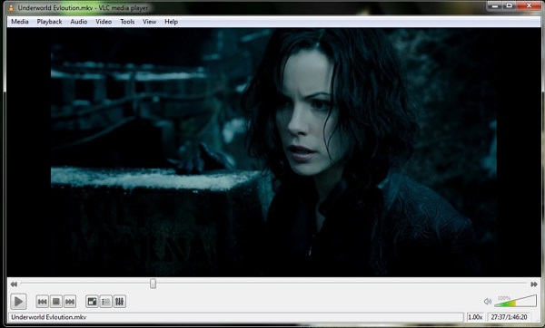 VLC DVD Player Software